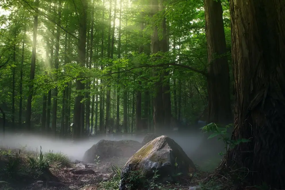Forestry and Other Permitting Services